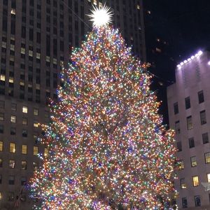 Meet your Posher, Sasha